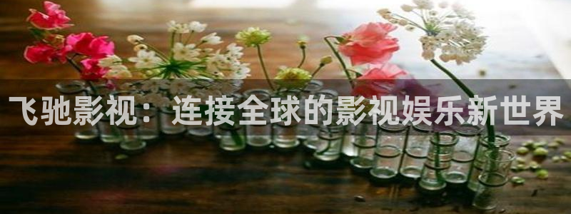 天空2023电影：飞驰影视：连接全球的影视娱乐新世界