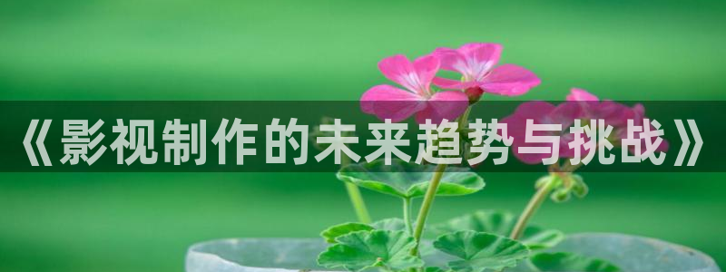 软天空ios版怎么下载：《影视制作的未来趋势与挑战》