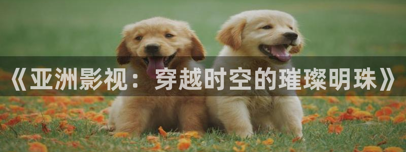 十八岁的天空视频：《亚洲影视：穿越时空的璀璨明珠》