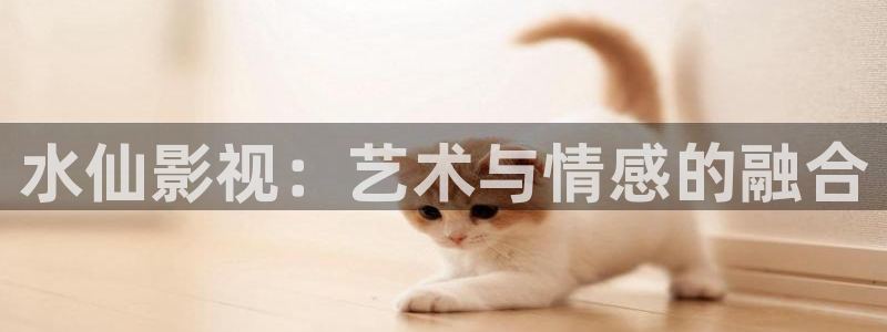 天空影视网：水仙影视：艺术与情感的融合