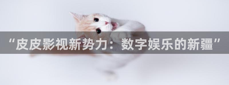 天空之上三公尺2未删减免费观看：“皮皮影视新势力：数字娱乐的新疆”