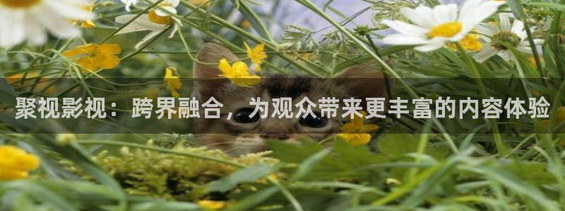 二战电影天空：聚视影视：跨界融合，为观众带来更丰富的内容体验