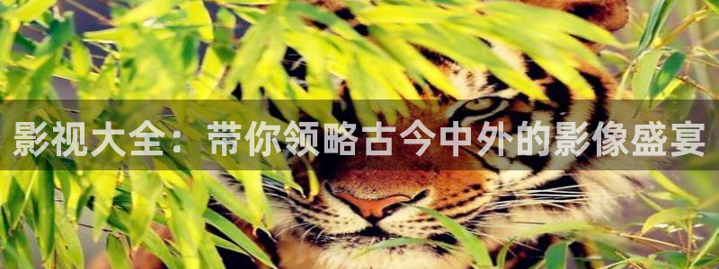 鸭子的天空动漫在线观看：影视大全：带你领略古今中外的影像盛宴